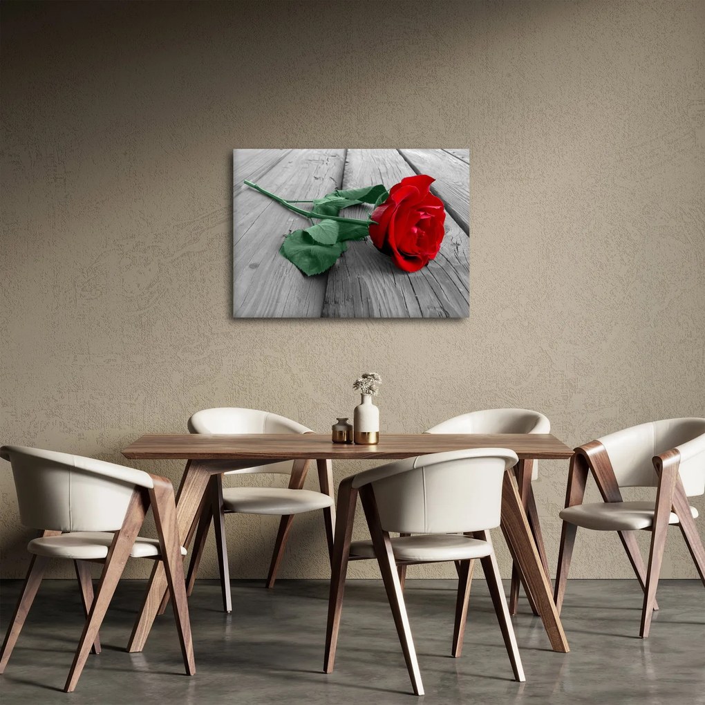 Obraz - Czerwona róża z zieloną łodygą (70x50 cm)
