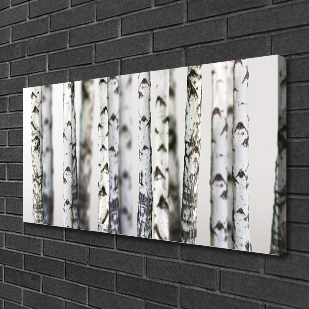 Obraz canvas Gęsta Korona Drzew