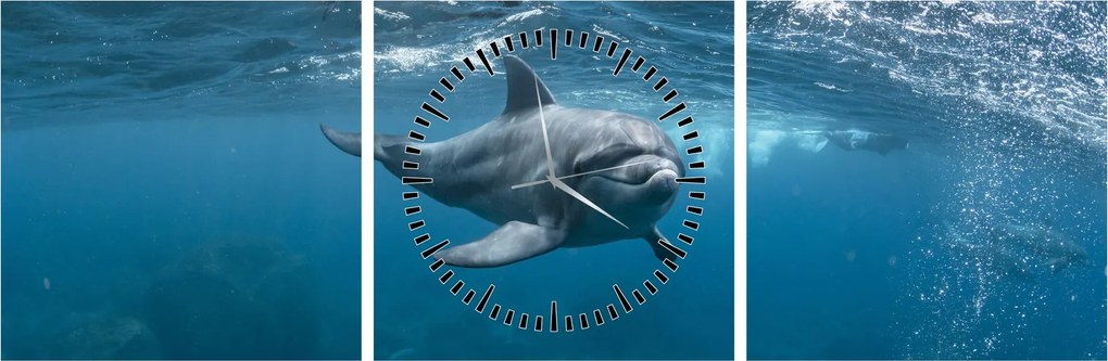 Obraz - Delfin pod wodą (z zegarem) (90x30 cm)