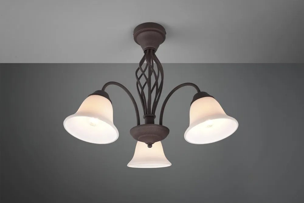 Ciemnobrązowa lampa sufitowa ze szklanym kloszem Rustica – Trio