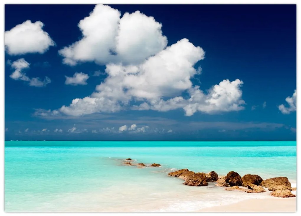 Obraz - Tropikalna plaża (70x50 cm)