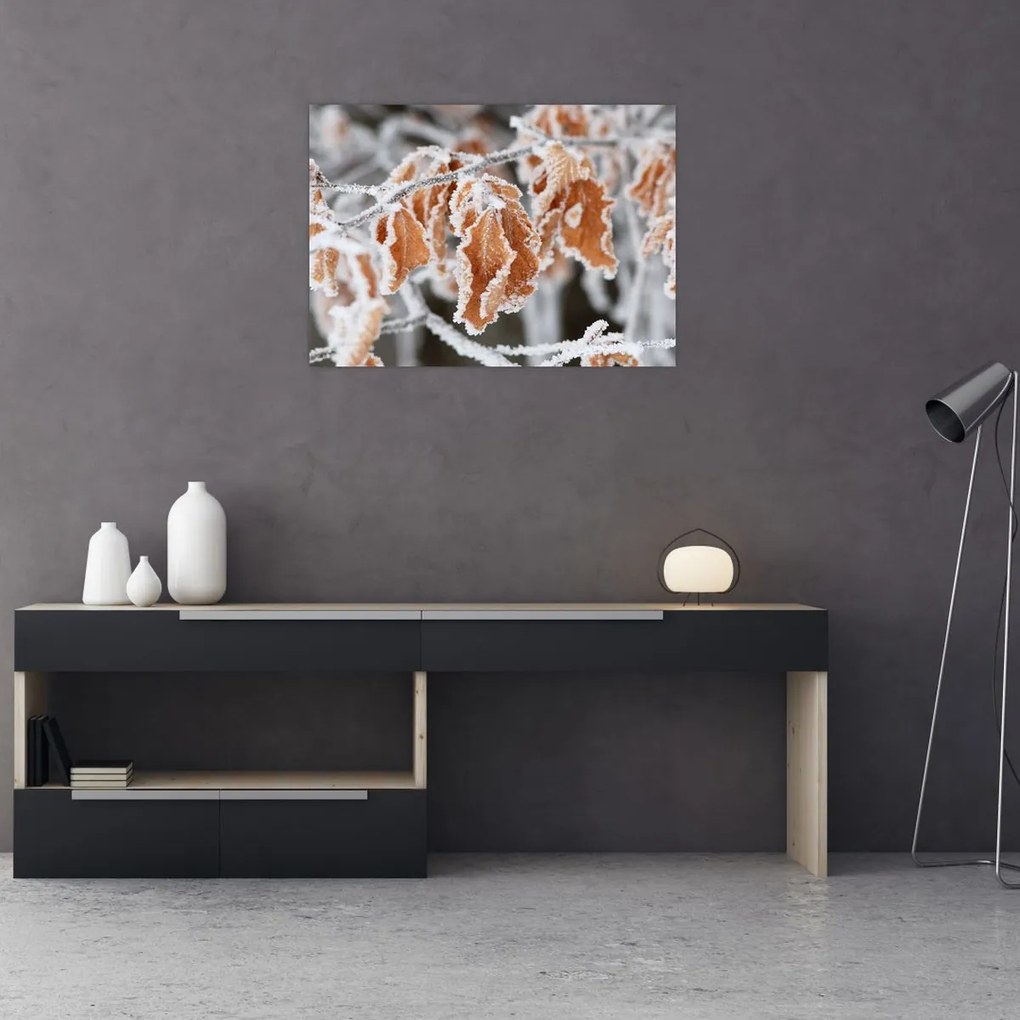 Obraz - Zamarznięte liście (70x50 cm)