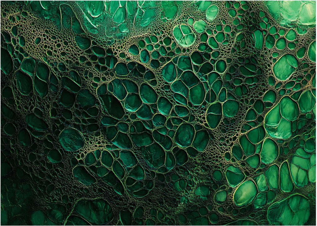 Obraz - Zielony mikroskopowy obraz (70x50 cm)