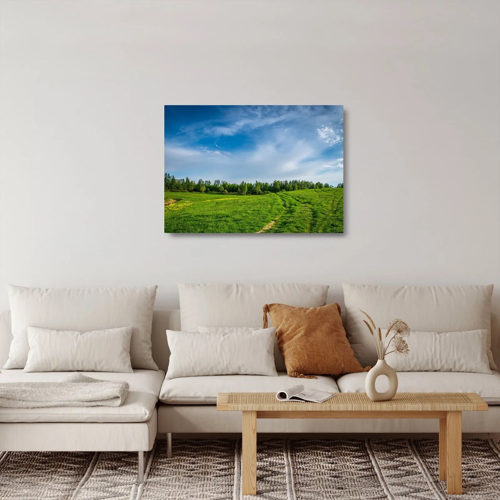 Obraz na szkle - łąka (70x50 cm)