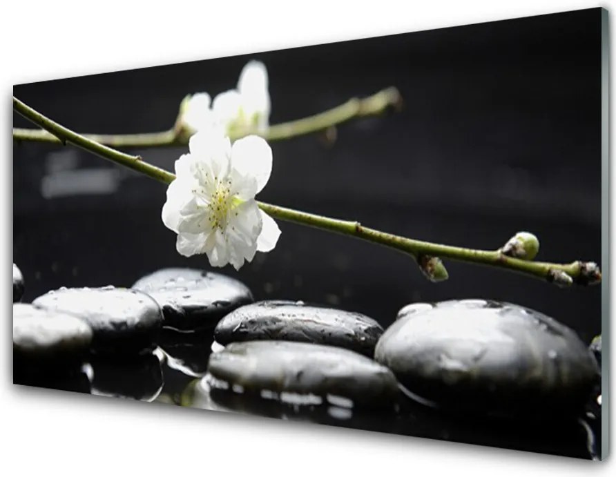 Panel Szklany do Kuchni Kwitnąca Gałązka Jabłoni