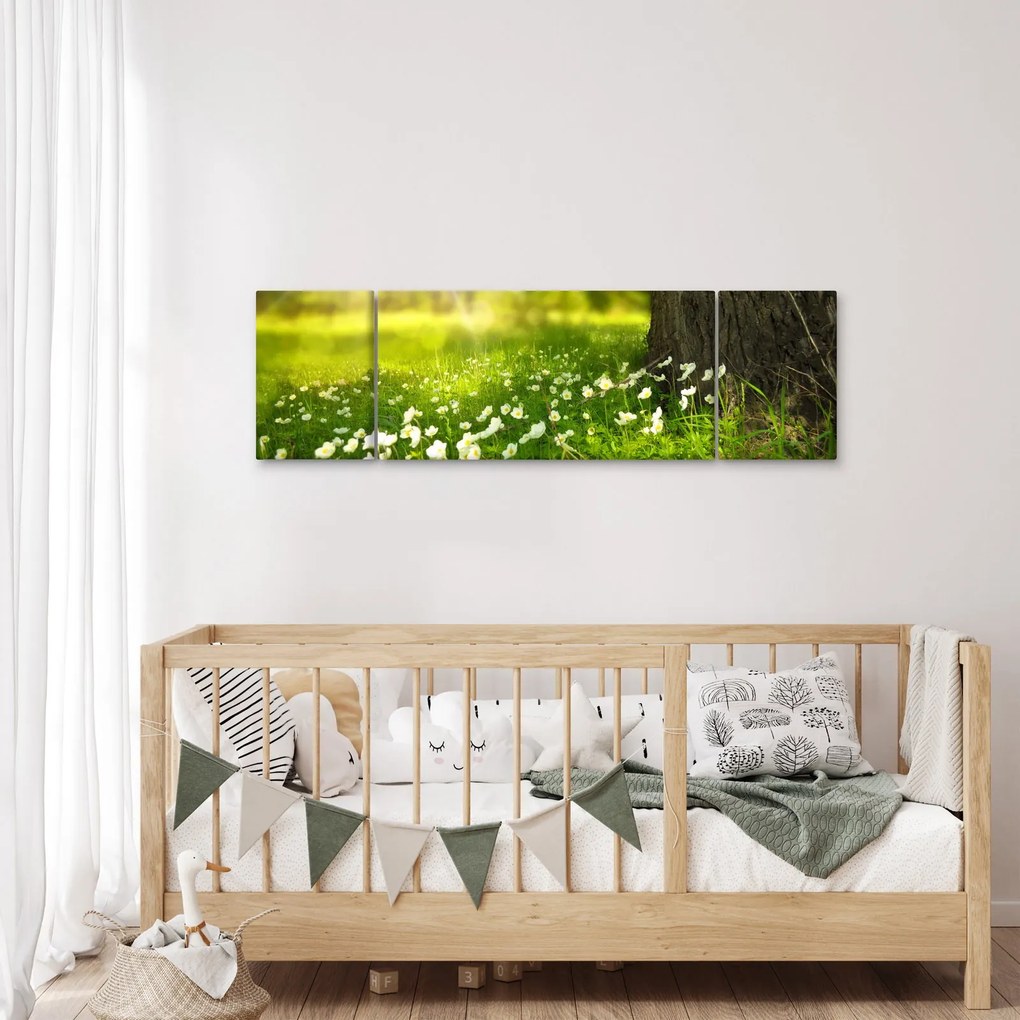 Obraz polany i kwiatów (170x50 cm)