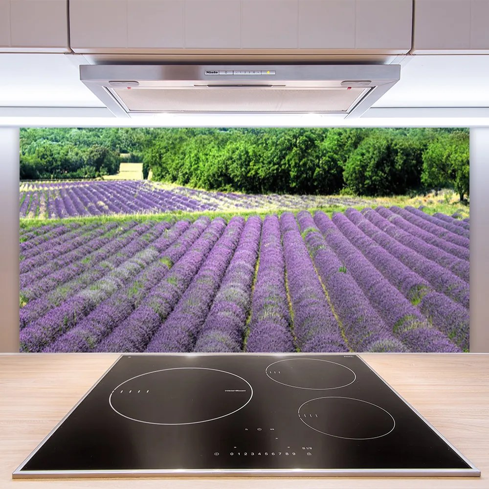 Szkło nad Blatem Kolorowa Łąka na Płótnie