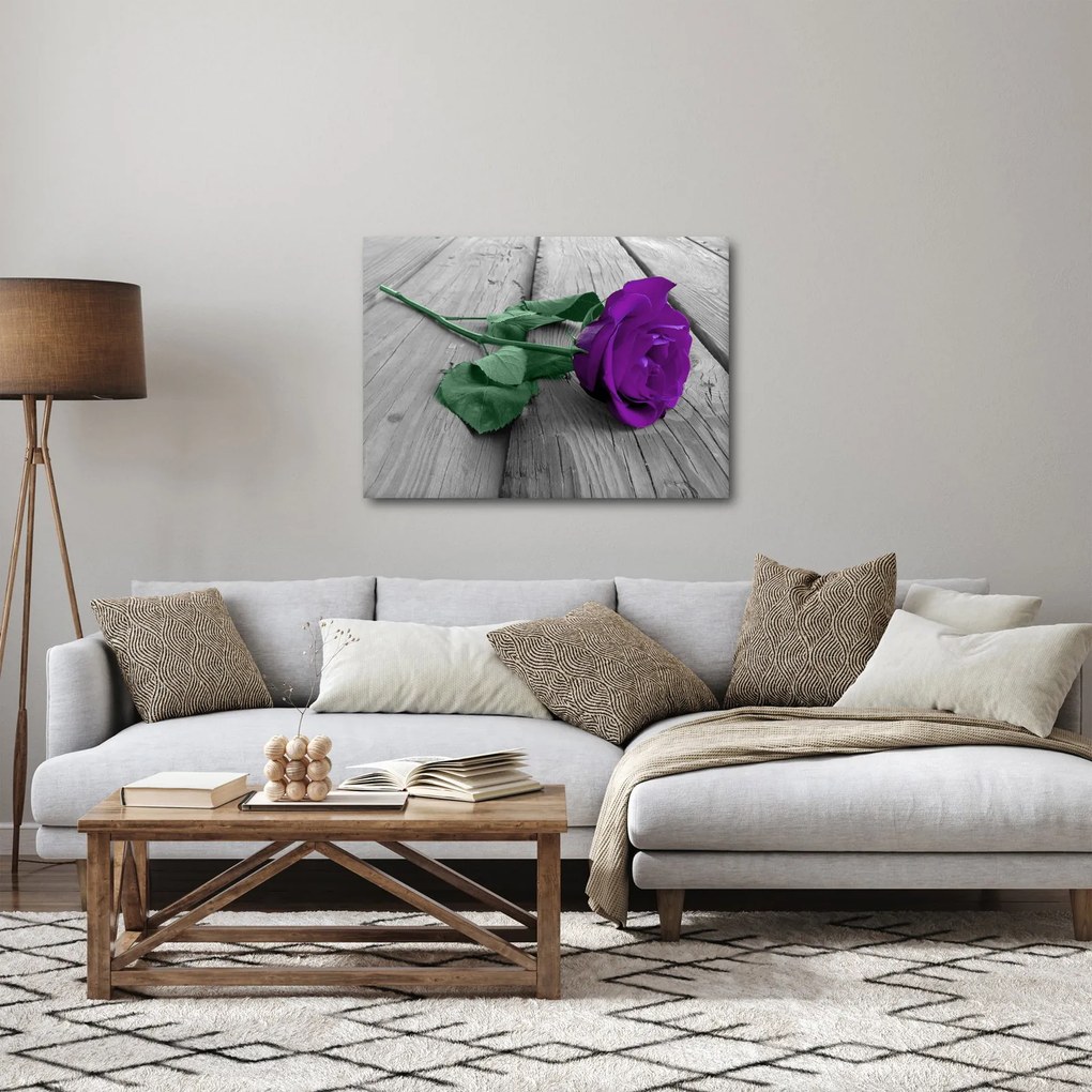Obraz - Fioletowa róża z zieloną łodygą (70x50 cm)