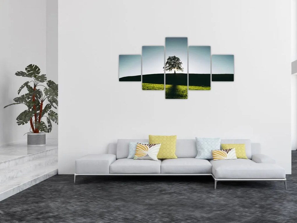 Obraz natury - drzewo (125x70 cm)