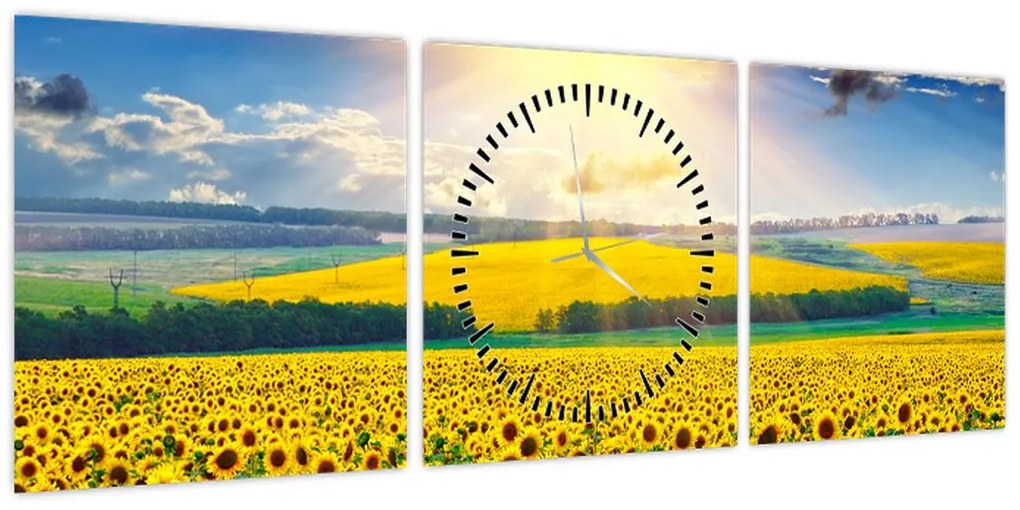 Obraz - Pole słoneczników (z zegarem) (90x30 cm)