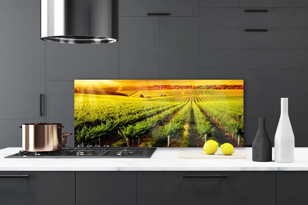 Szkło do Kuchni na Ścianę Złociste Pole o Poranku