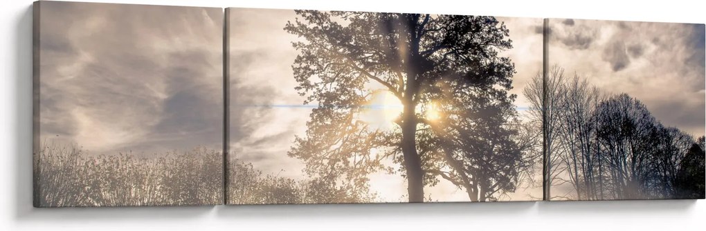 Obraz drzewa we mgle (170x50 cm)