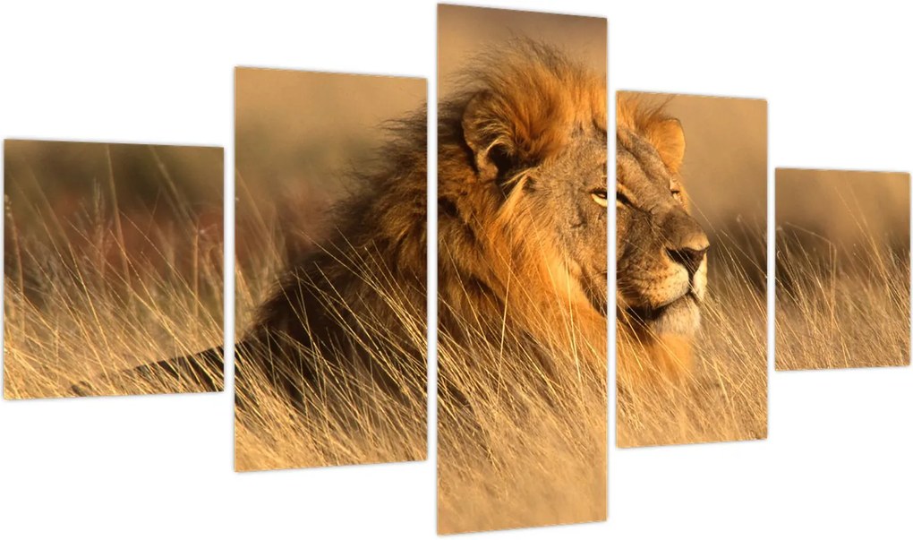 Obraz - Park Narodowy Etosha (125x70 cm)