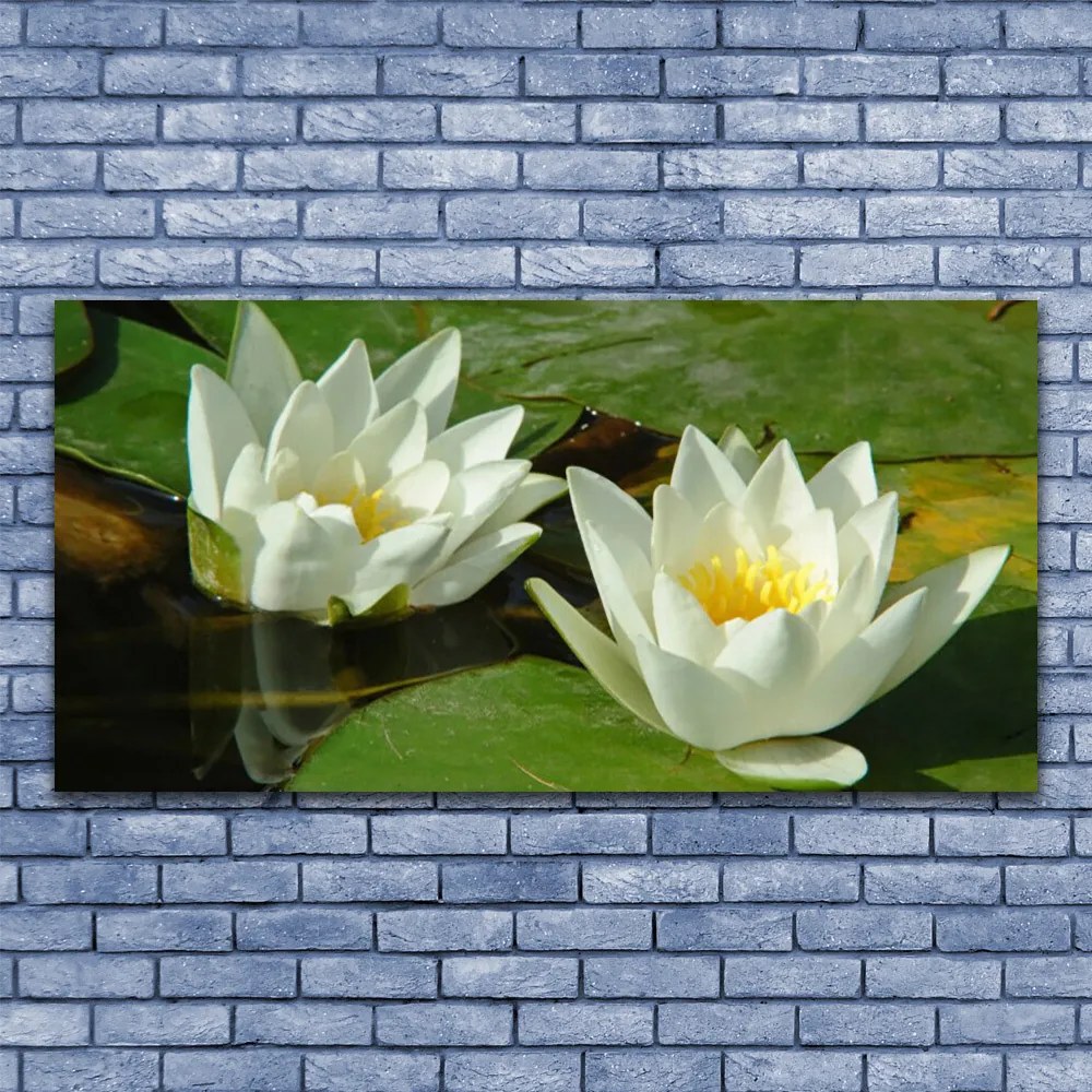 Obraz Canvas Kwiaty Rośliny Przyroda