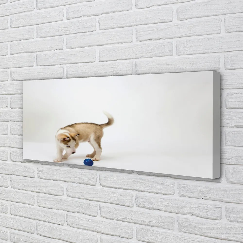 Duży obraz na płótnie Radosny, Bawiący się Pies