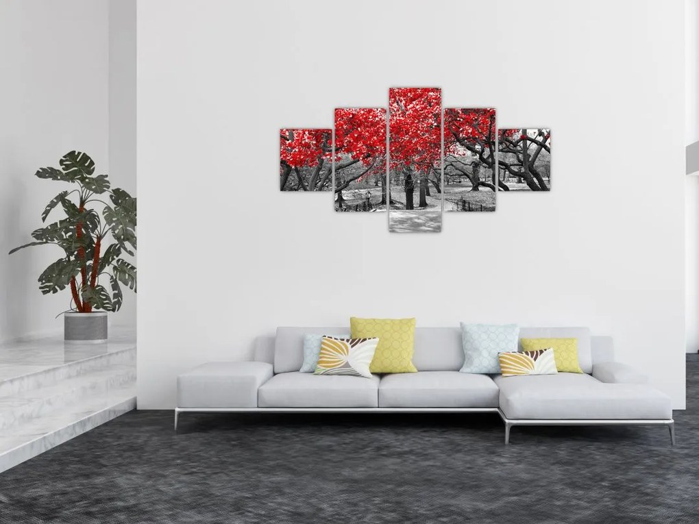Obraz - Czerwone drzewa, Central Park, New York (125x70 cm)