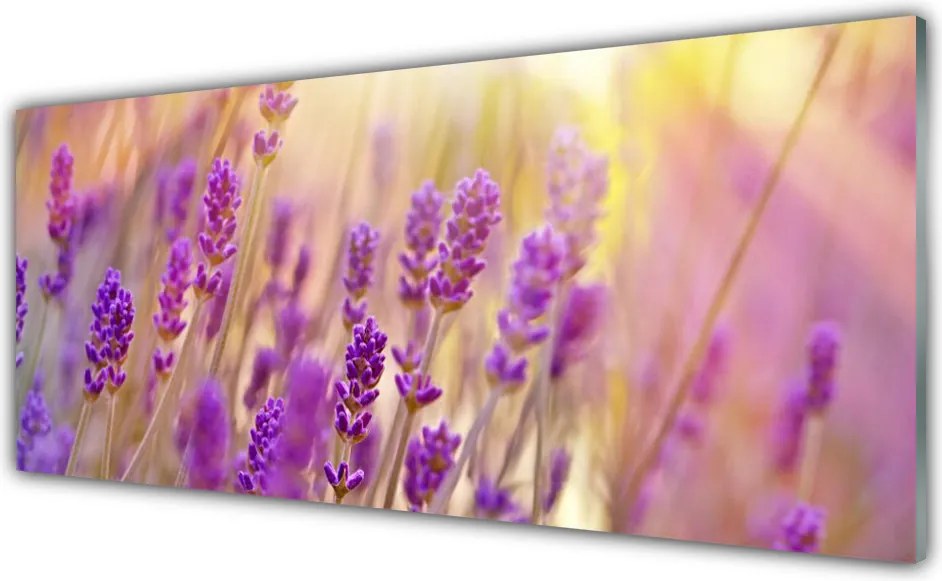 Dekor Szklany do Kuchni Pełnia Letniego Rozkwitu