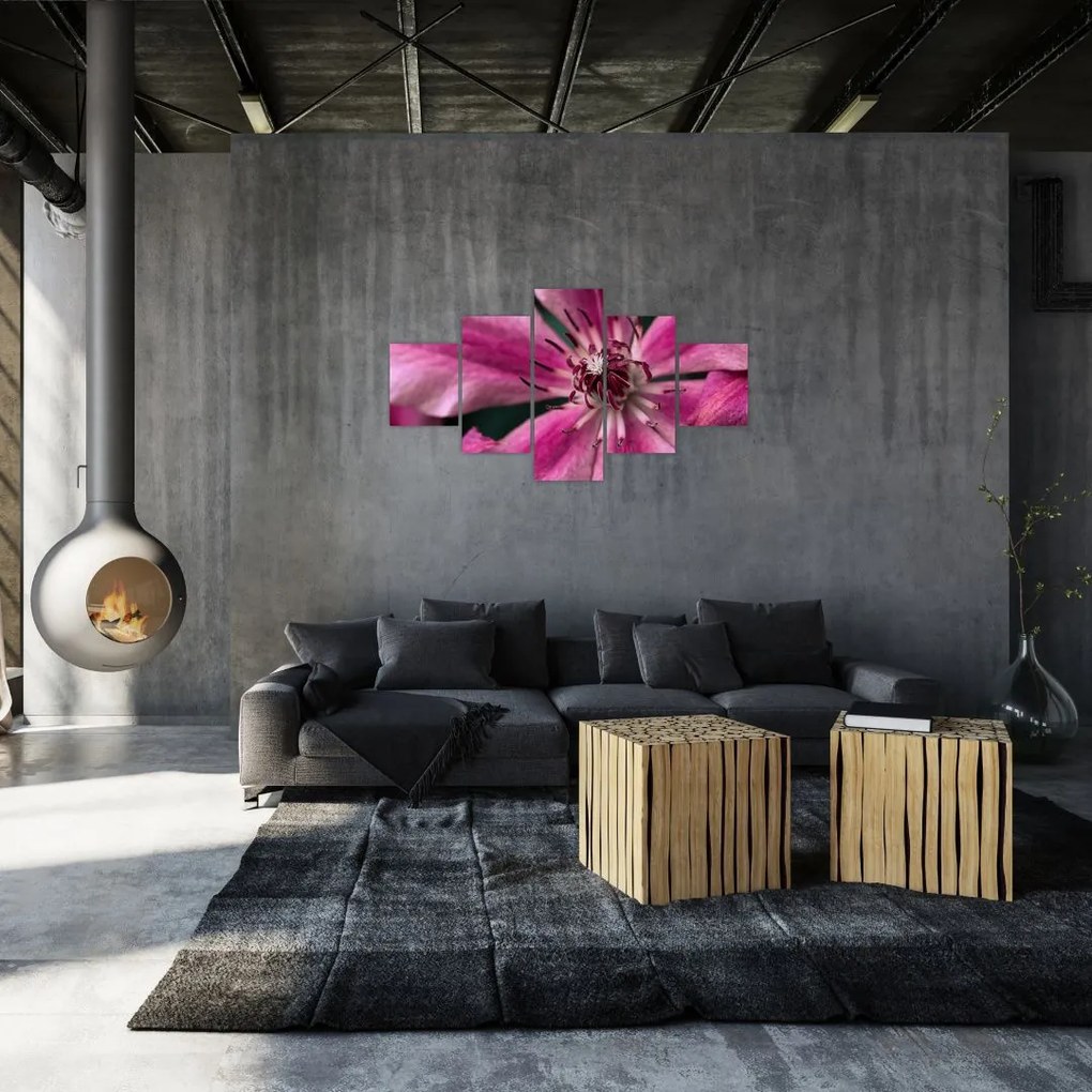 Obraz różowego kwiatu powojnika (125x70 cm)