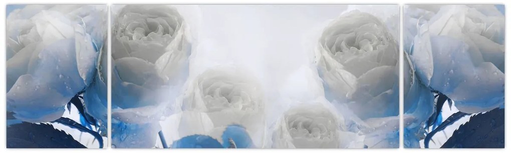 Obraz - Białe róże (170x50 cm)