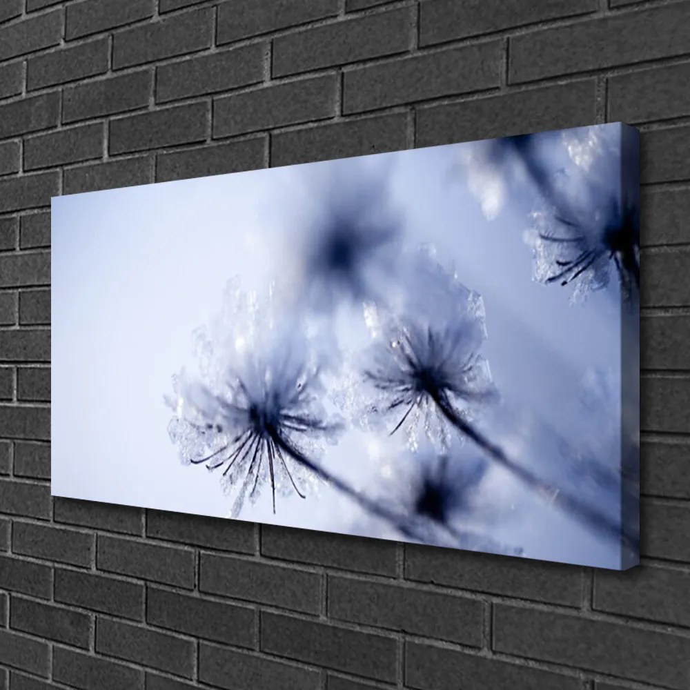 Obraz canvas Ulotny Dmuchawiec na Wietrze