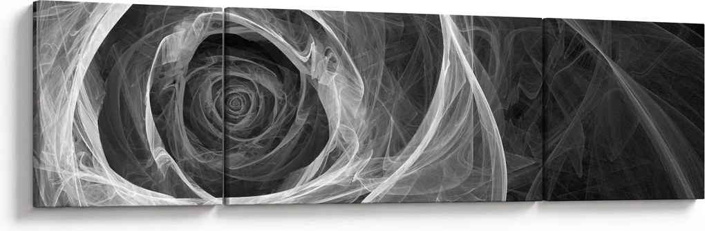 Obraz - Abstrakcyjna róża czarno-biała (170x50 cm)