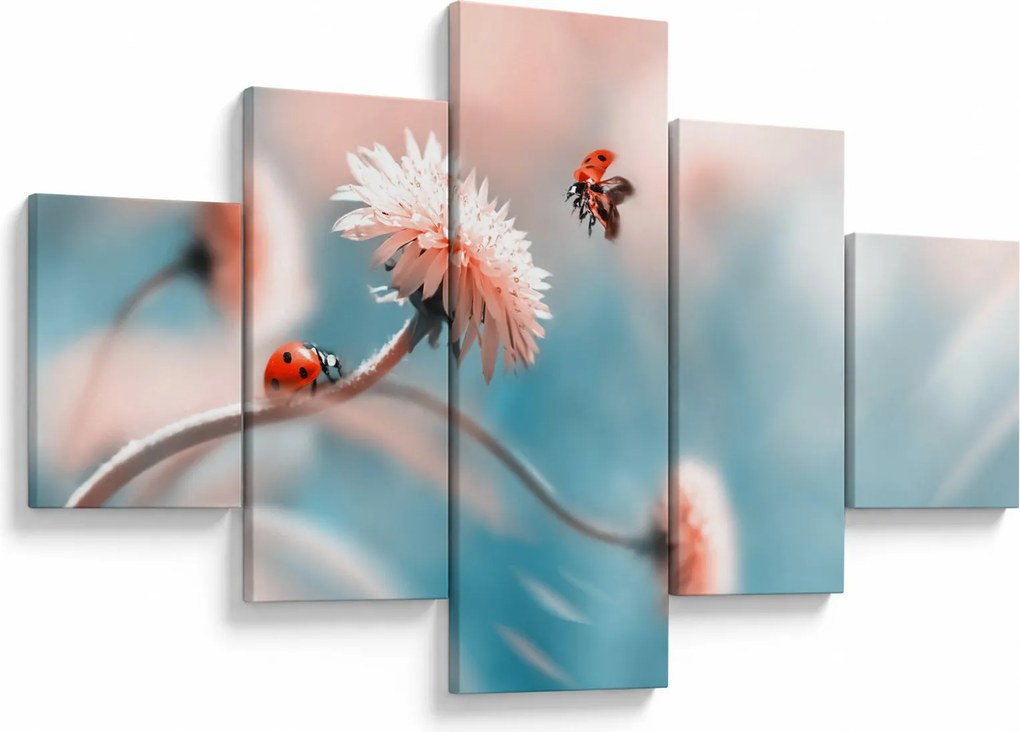Obraz - Biedronka na kwiatku (125x70 cm)