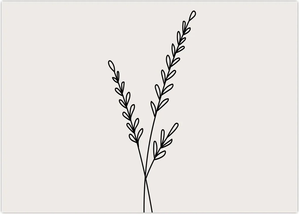 Obraz - Meadow Flower N⁰2 (70x50 cm)