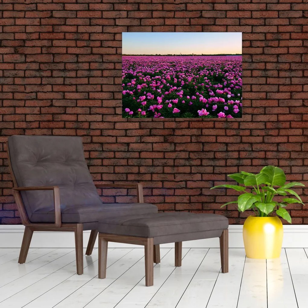 Obraz na szkle - Łąka fioletowych tulipanów (70x50 cm)