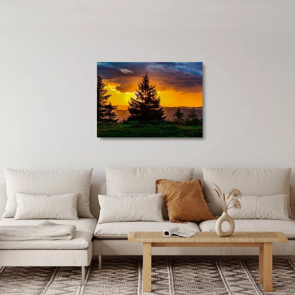 Obraz na szkle - drzewa iglaste (70x50 cm)