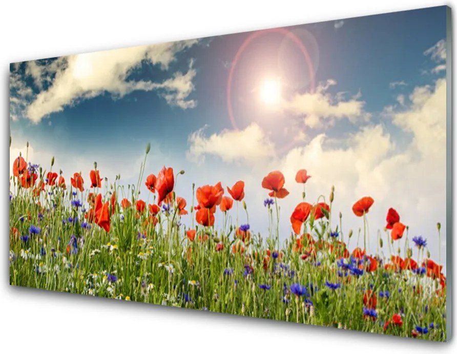 Panel Szklany Letnia Łąka w Blasku Dnia