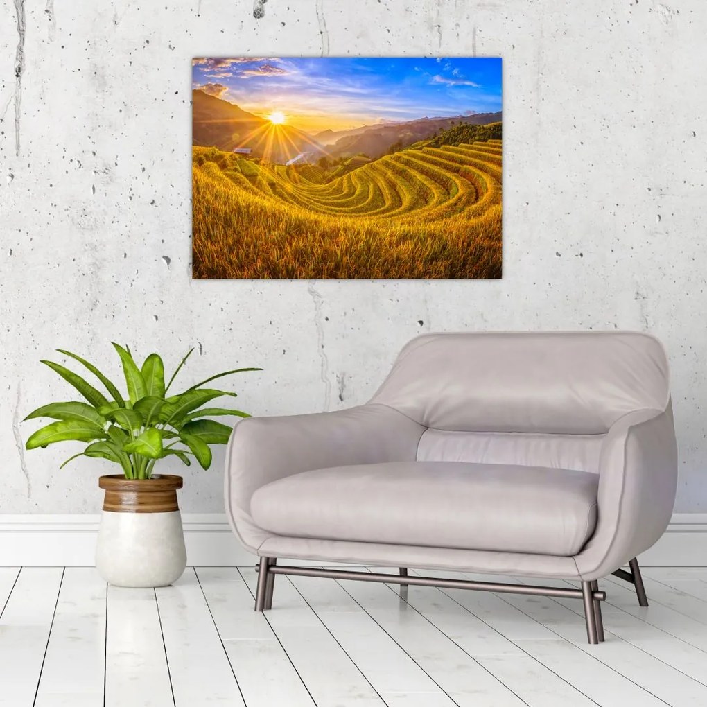Obraz na szkle - Pole ryżowe w Wietnamie (70x50 cm)