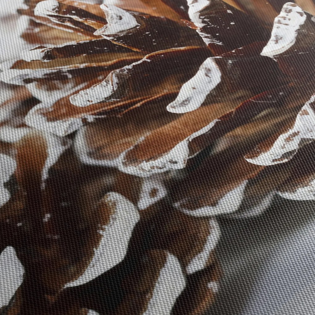 Obraz - Pączki (125x70 cm)