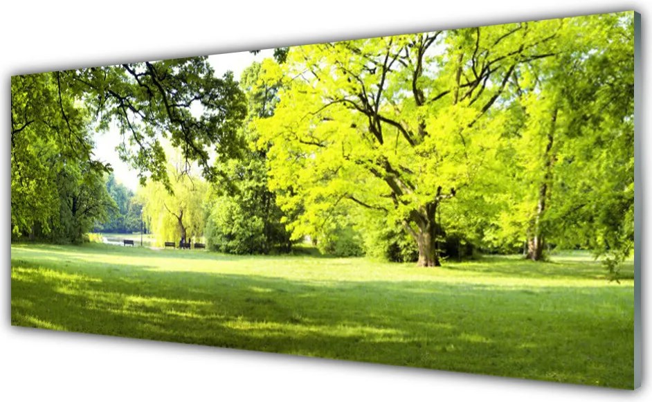 Panel Szklany Parkowa Aleja w Słońcu