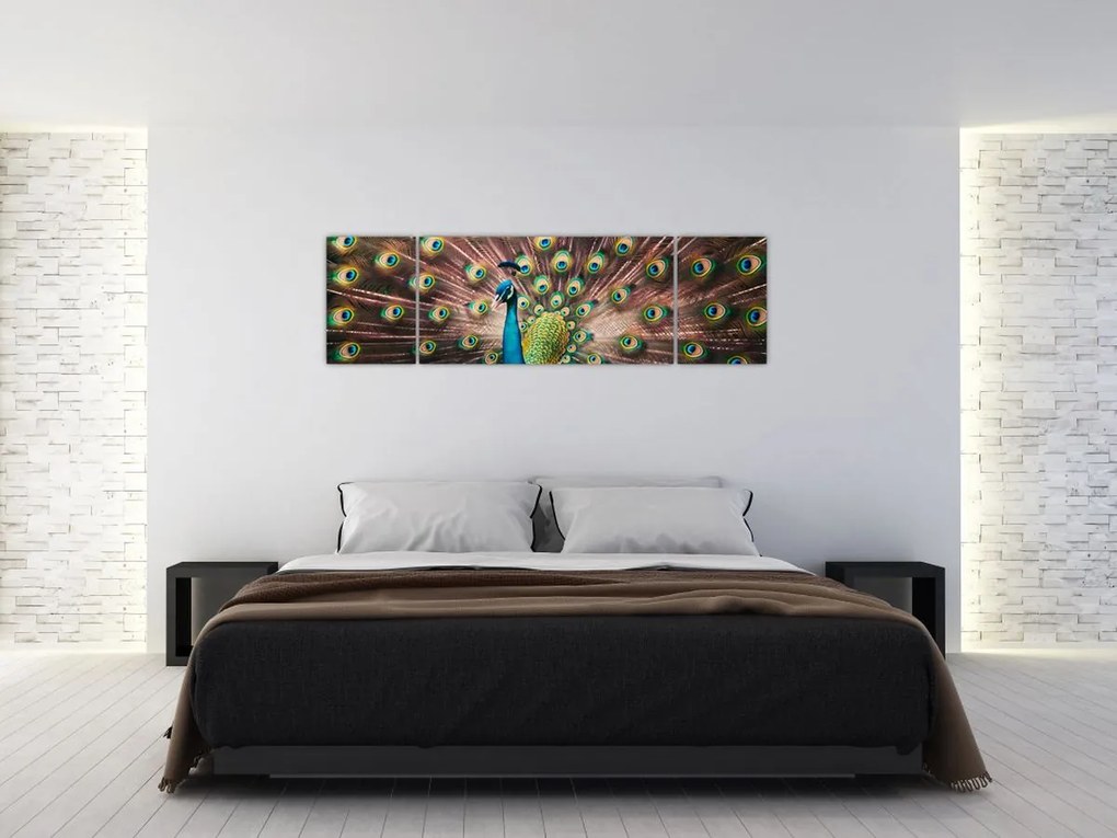Obraz - Paw (170x50 cm)