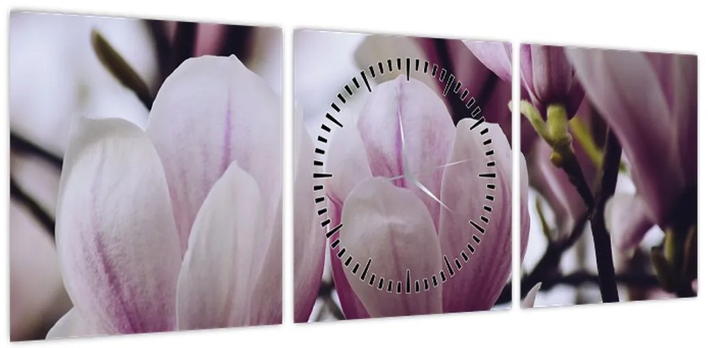 Obraz - Magnolia (z zegarem) (90x30 cm)