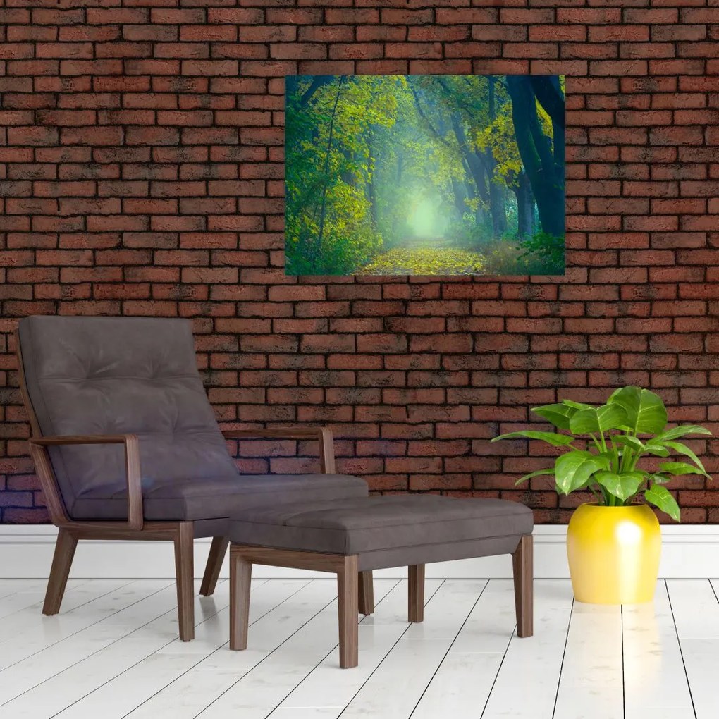 Obraz drogi wysadzanej drzewami (70x50 cm)