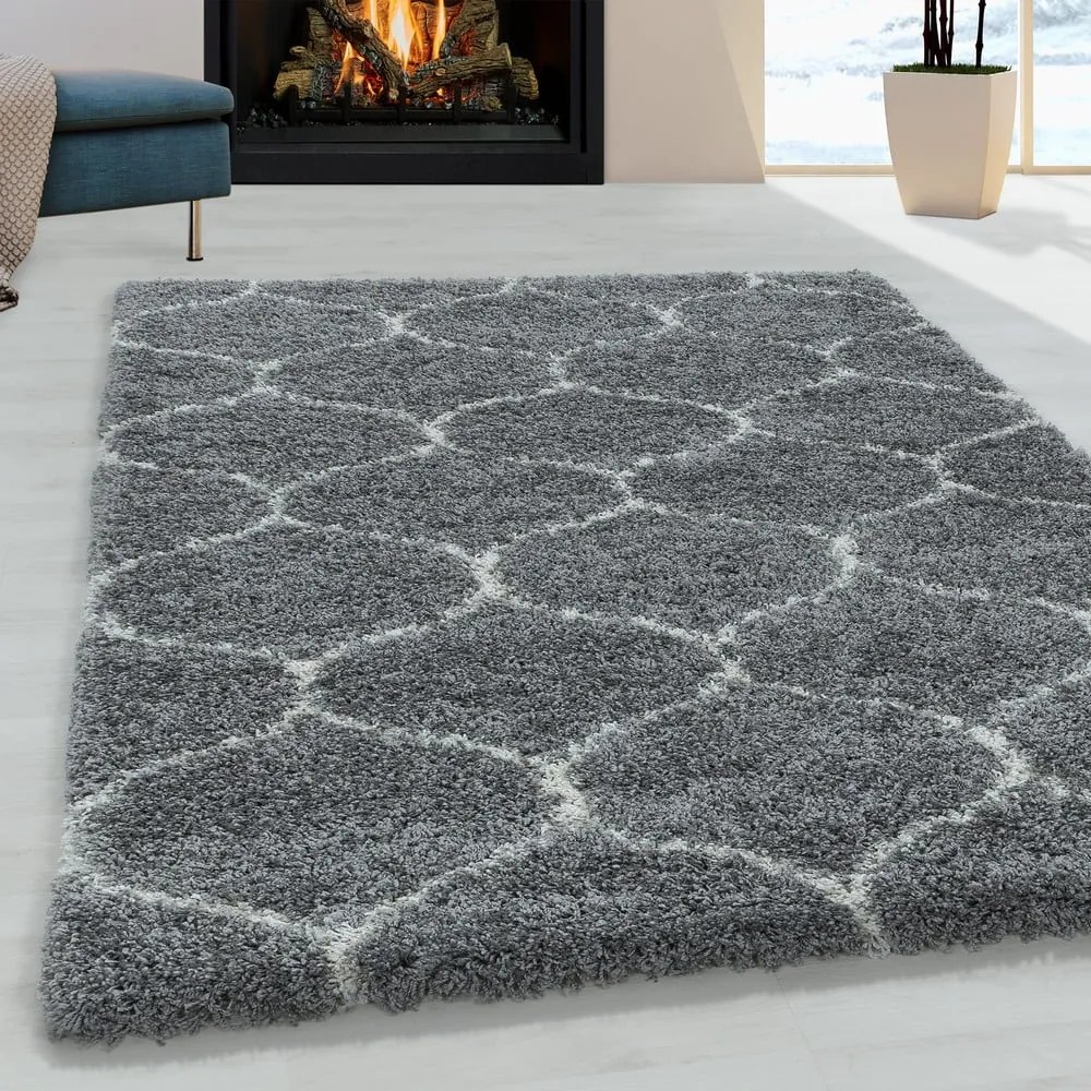 Szary dywan 120x170 cm Salsa – Ayyildiz Carpets