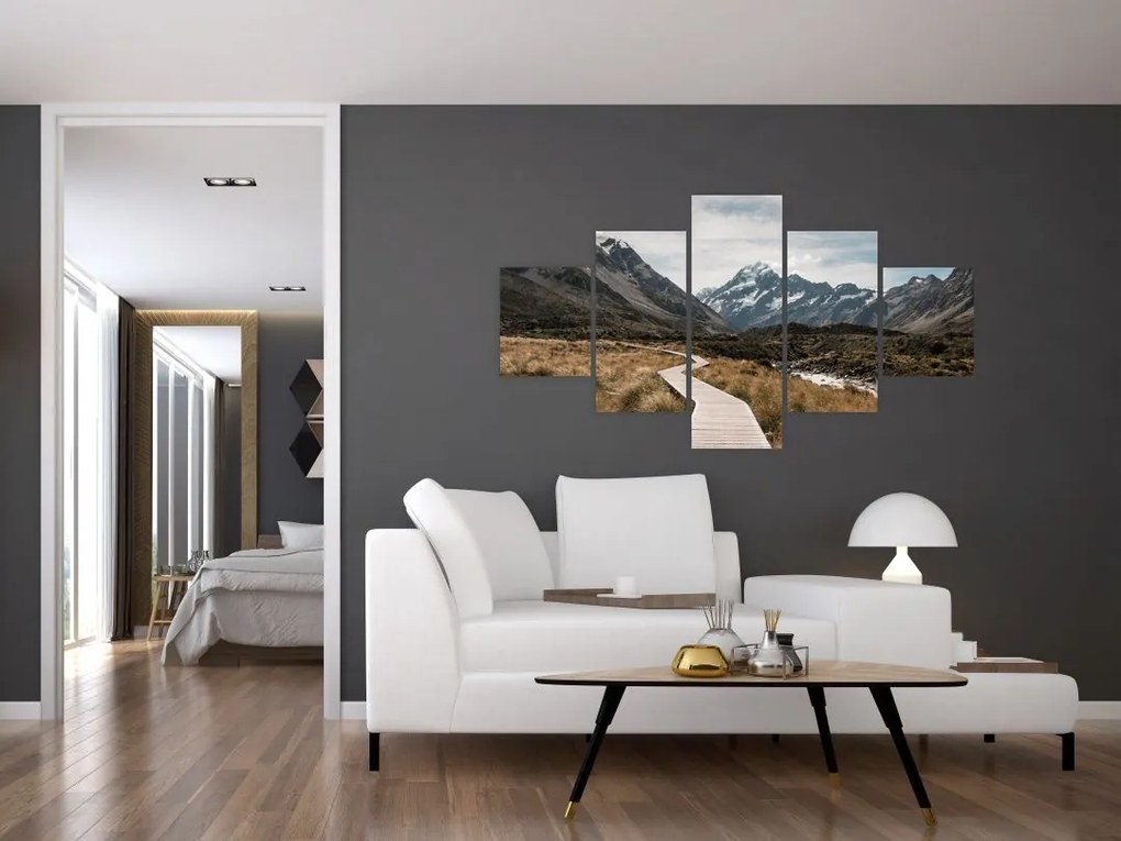Obraz - Chodnik w dolinie góry Mt. Cook (125x70 cm)