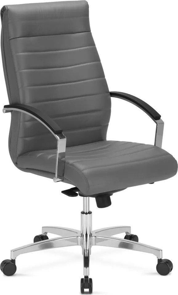 Fotel gabinetowy Lynx LB steel 43