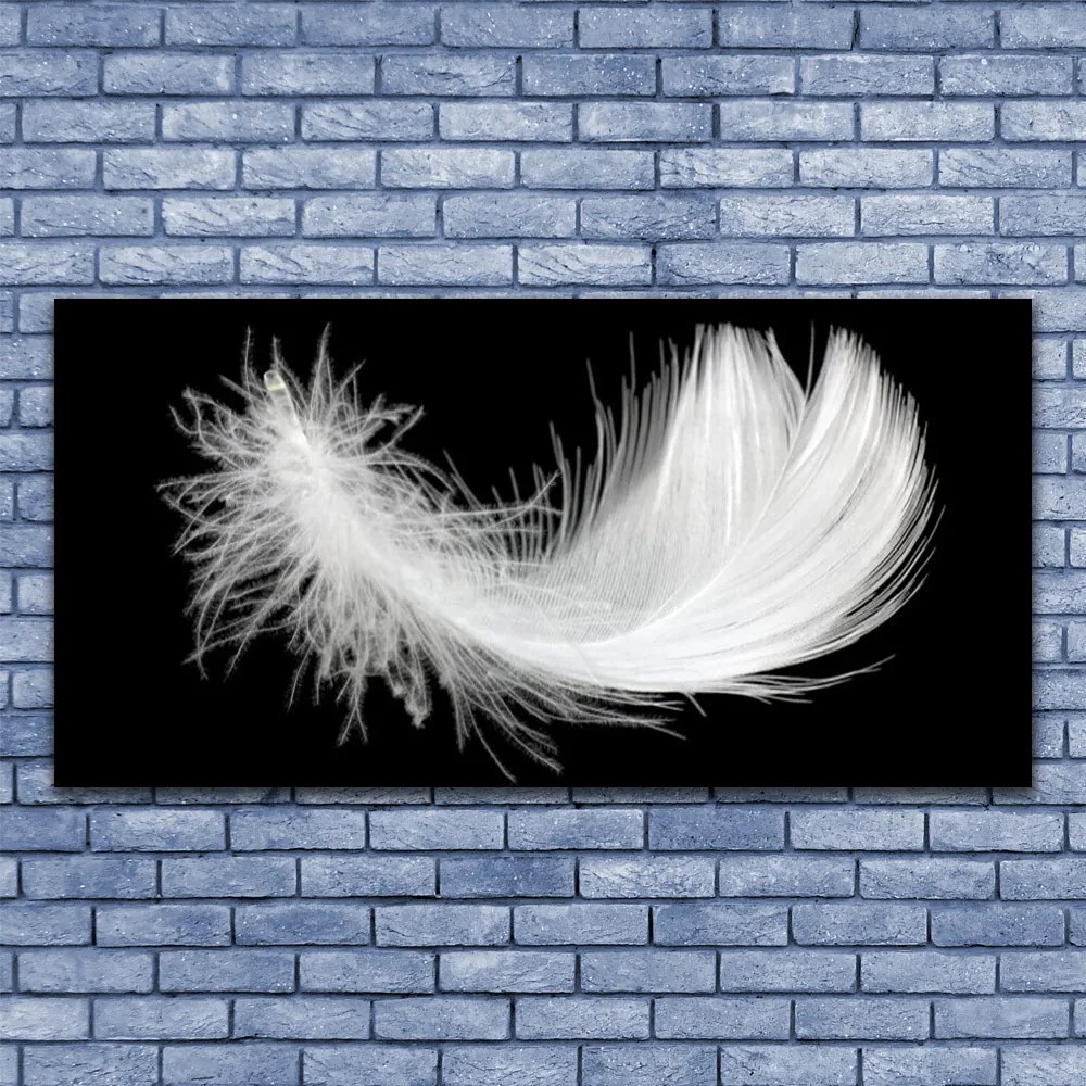 Obraz na płótnie Lekkość Białego Piórka
