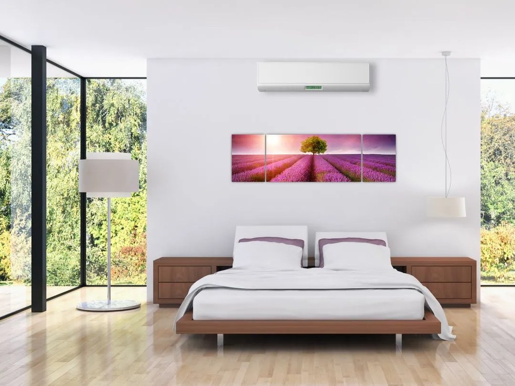Obraz pola z lawendą (170x50 cm)