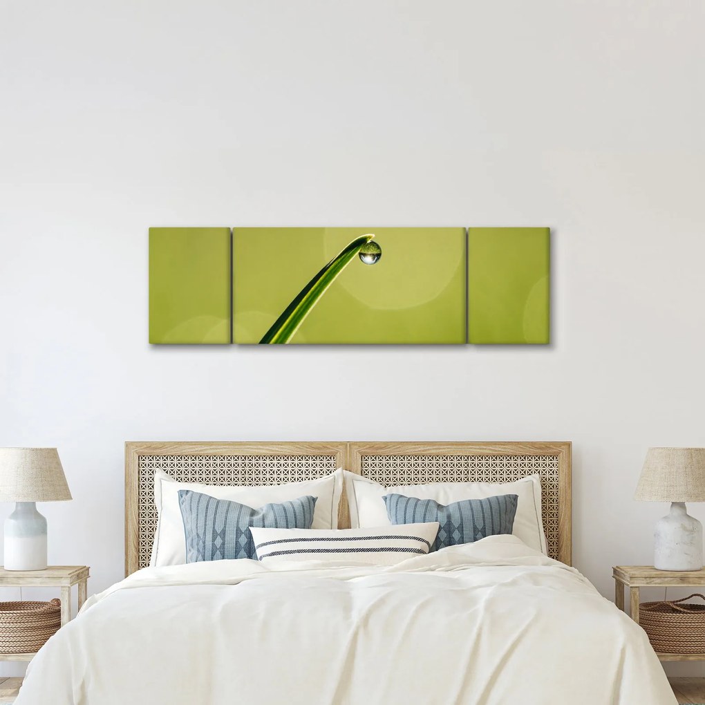 Obraz kropli wody na trawie (170x50 cm)