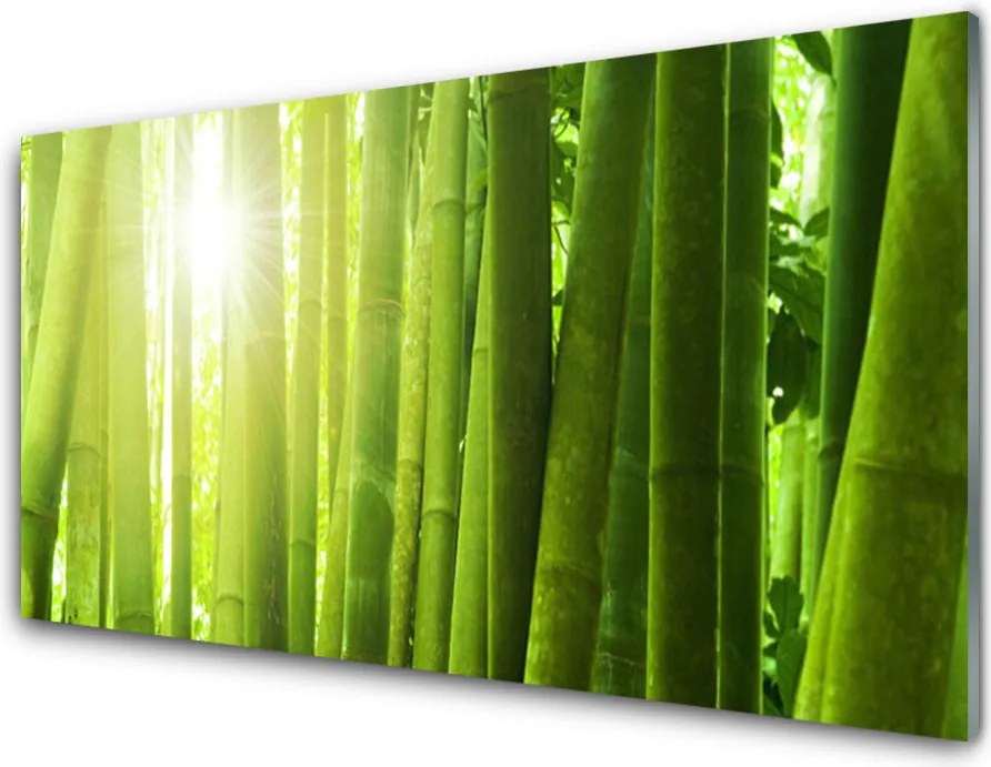 Panel Kuchenny Świeżość Zielonego Bambusa