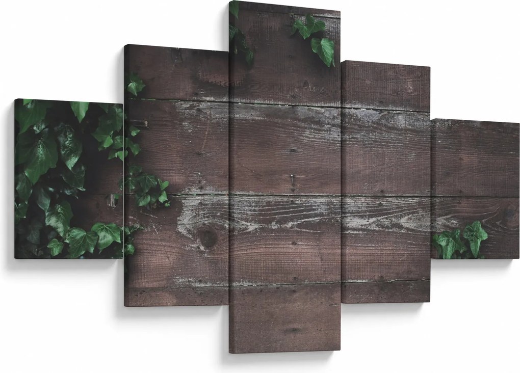 Obraz - Bluszcz (125x70 cm)