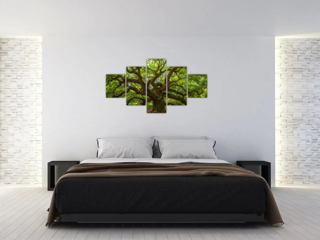 Obraz - Zielone drzewo (125x70 cm)