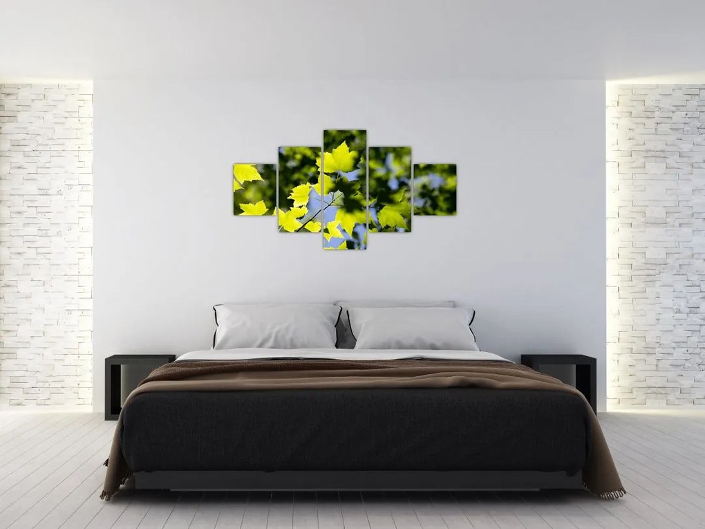 Obraz - liście klonu (125x70 cm)