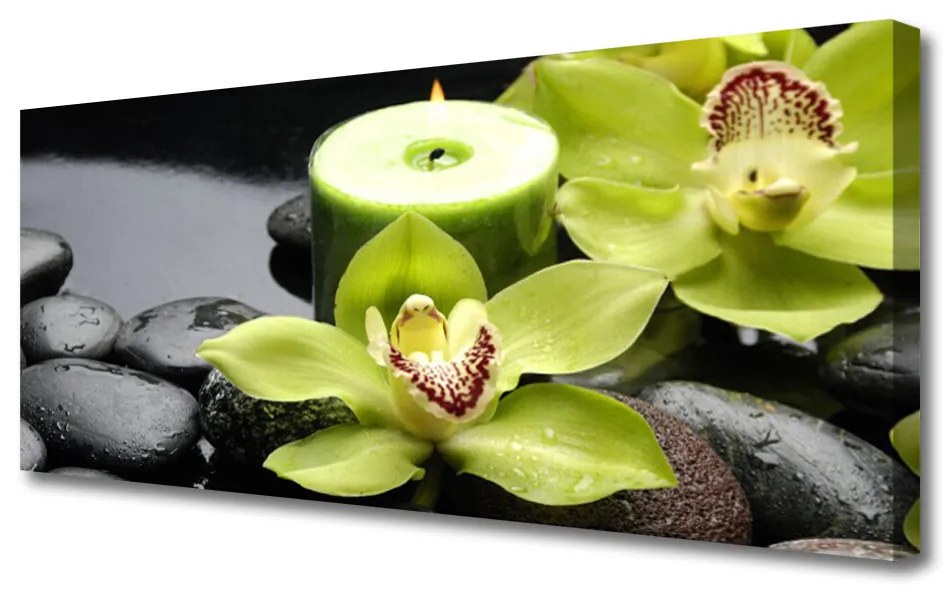 Obraz Canvas Orchidea Kwiaty