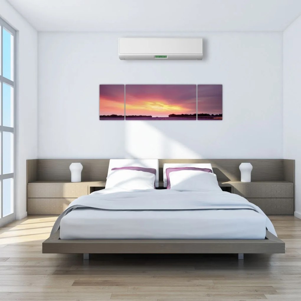 Obraz - Pole lawendy (170x50 cm)