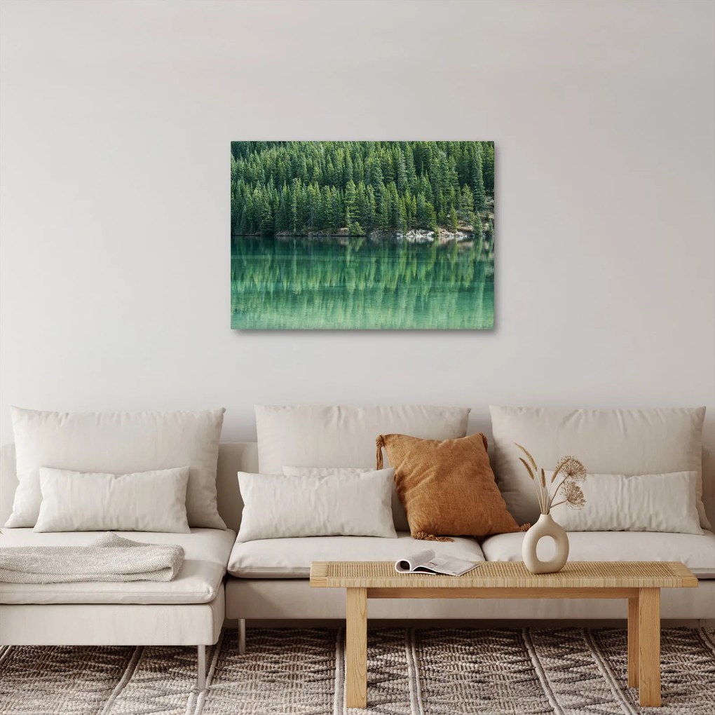 Obraz - drzewa iglaste nad jeziorem (70x50 cm)
