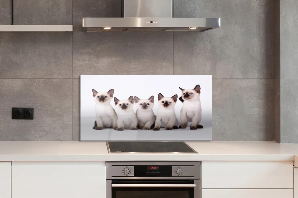 Panel szklany do Kuchni Grupa Uroczych Kociąt